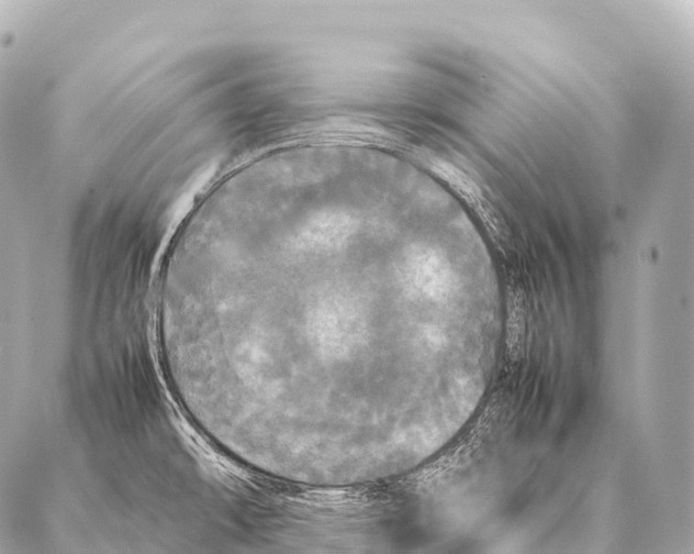 X0000087021478200705141844