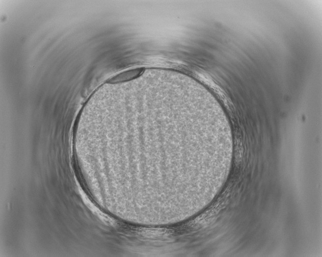 X0000087021479200705141844