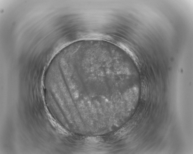 X0000087021480200705141844