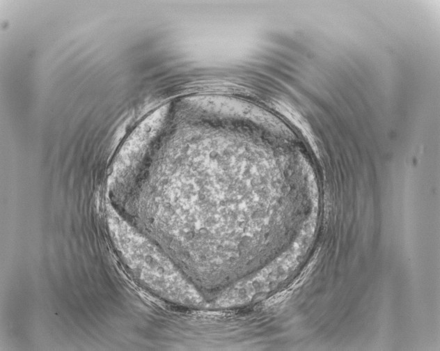 X0000087021481200705141844