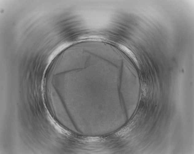 X0000087021482200705141844