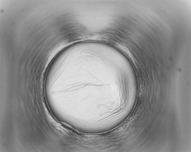 X0000087021483200705141844