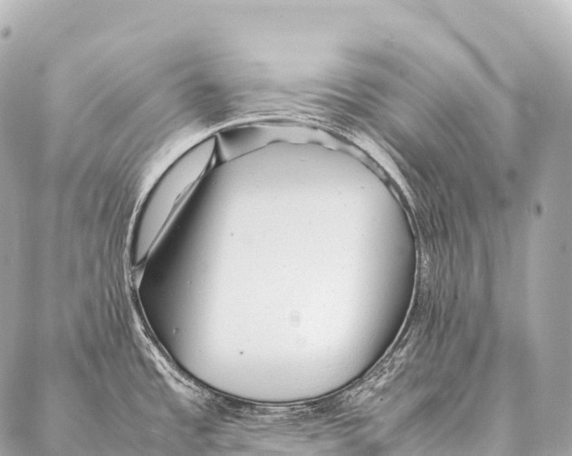 X0000087021485200705141844