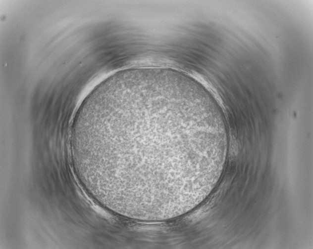 X0000087021486200705141844