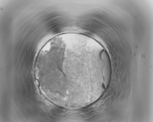 X0000087021488200705141844