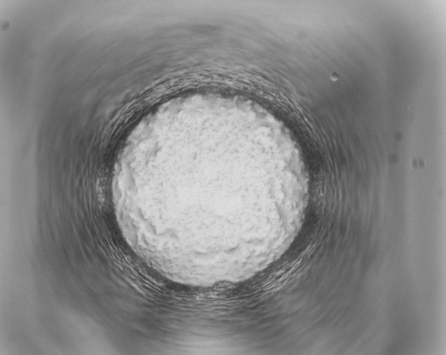 X0000087021490200705141843