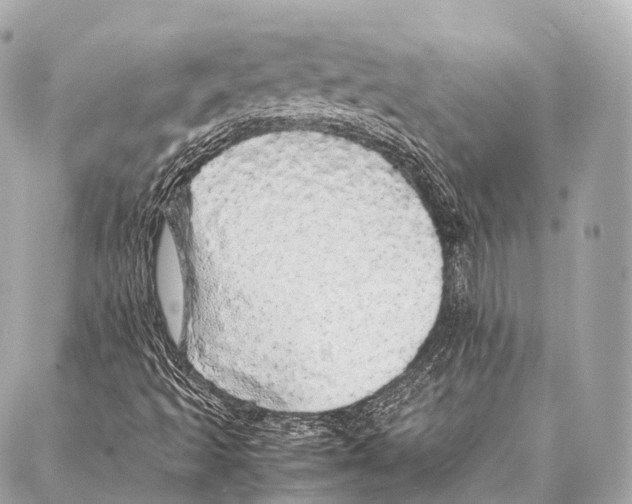 X0000087021493200705141843