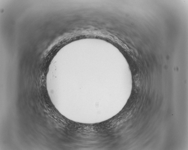 X0000087021495200705141843