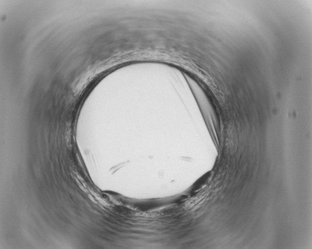 X0000087021499200705141843