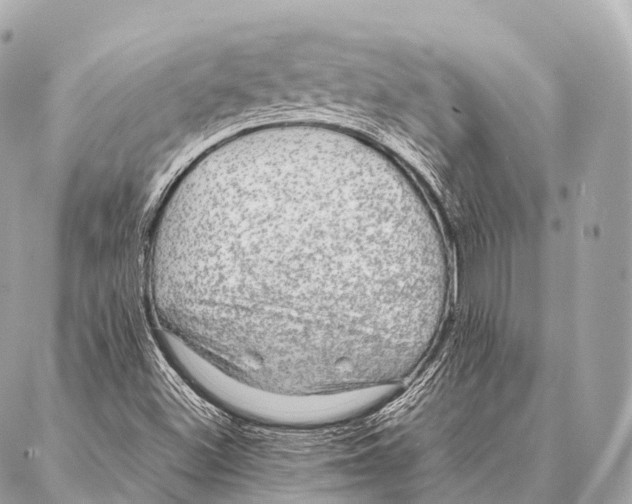 X0000087021500200705141843