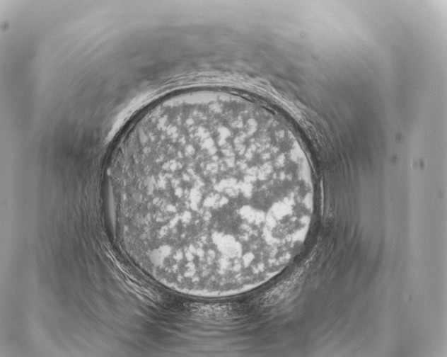 X0000087021501200705141843