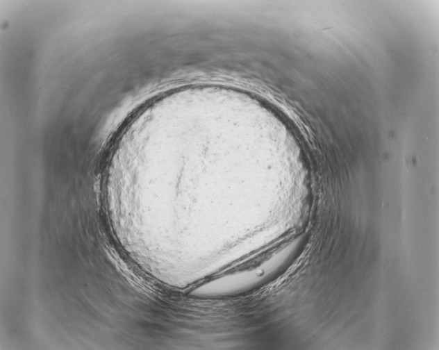 X0000087021503200705141843