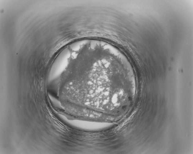 X0000087021505200705141843