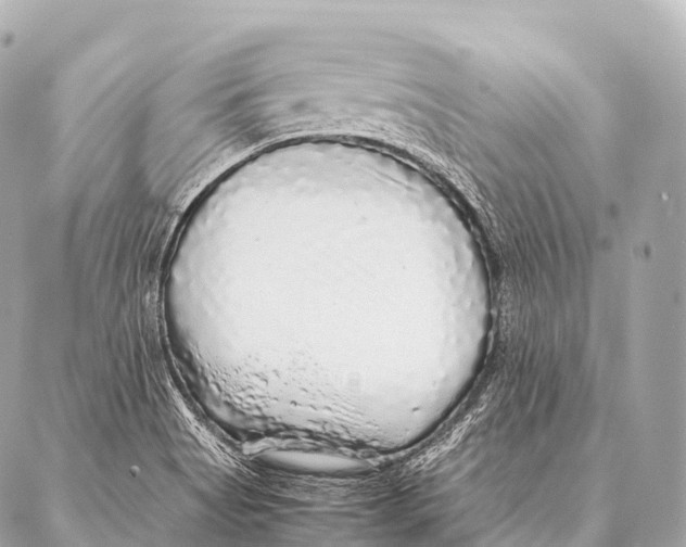 X0000087021513200705141843