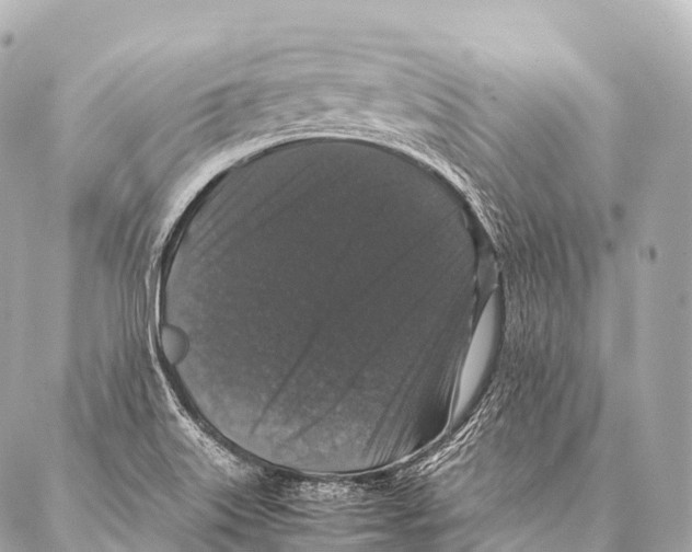 X0000087021515200705141843