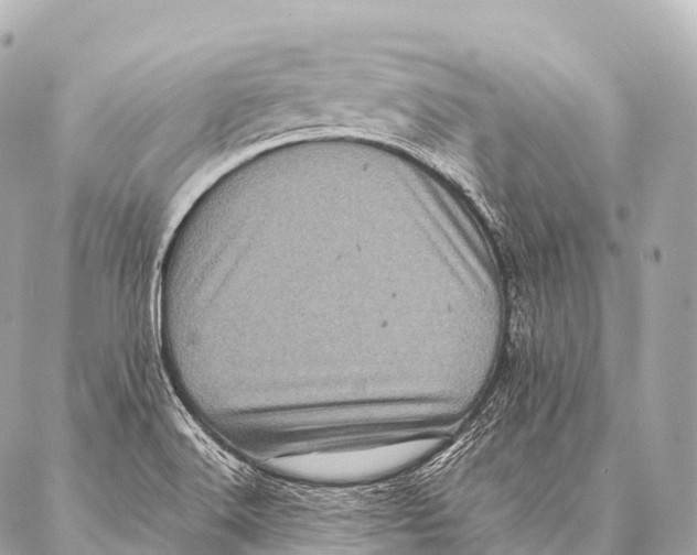 X0000087021516200705141843