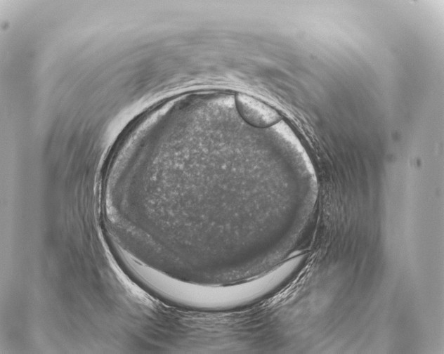 X0000087021519200705141843