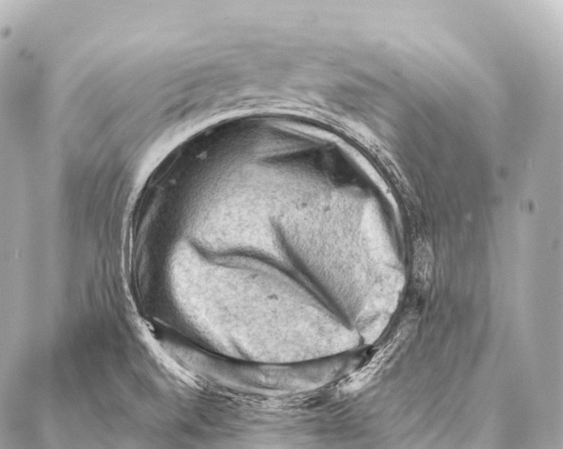 X0000087021520200705141843