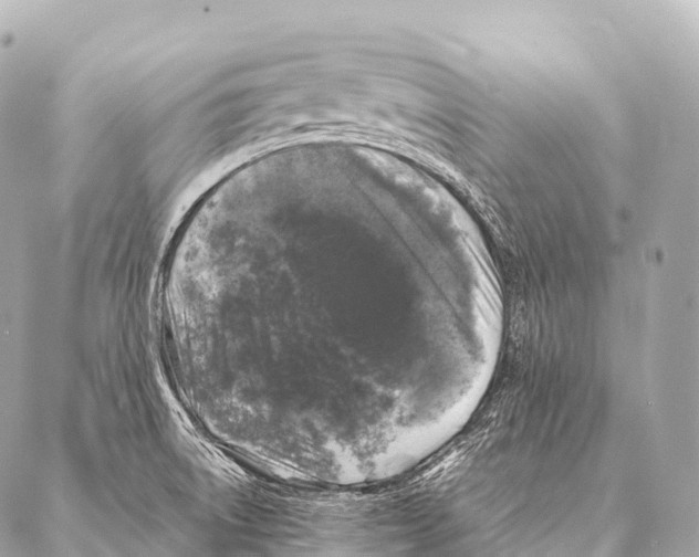 X0000087021522200705141843