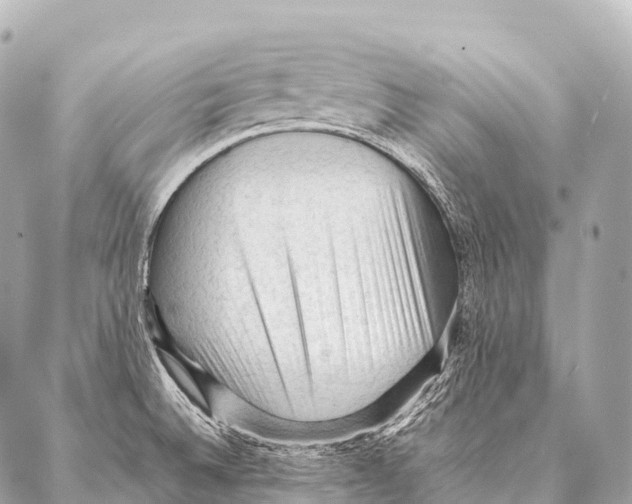 X0000087021524200705141843