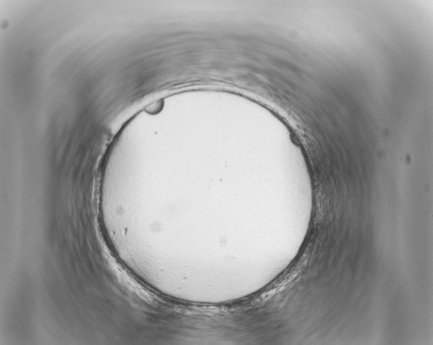 X0000087021526200705141844