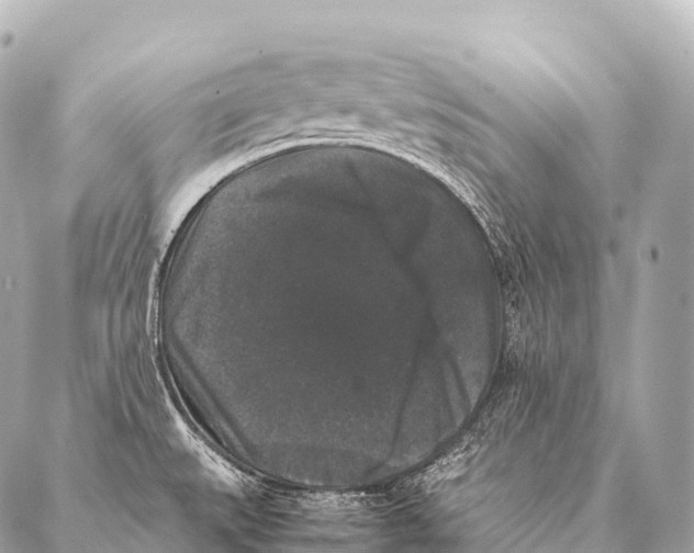 X0000087021527200705141844