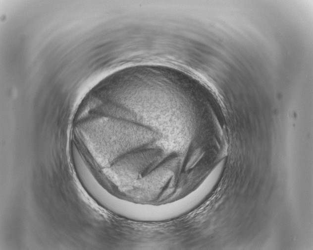 X0000087021528200705141844