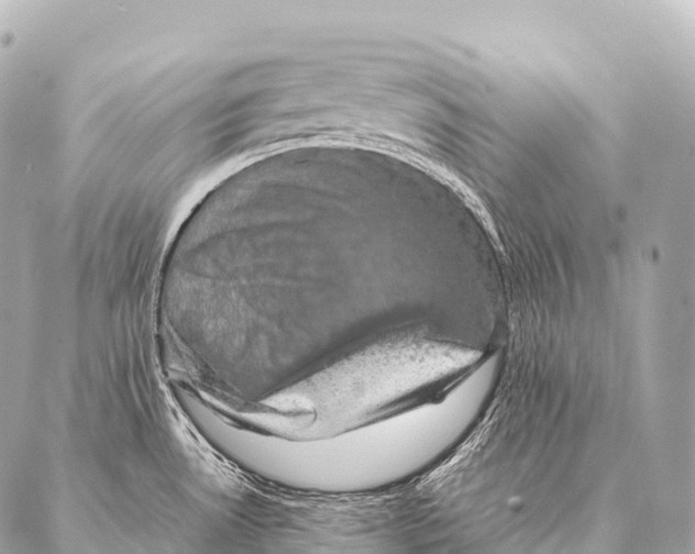 X0000087021530200705141844