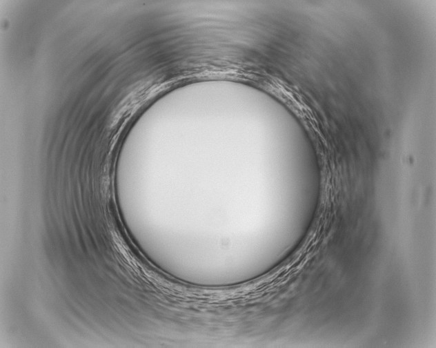X0000087030002200704161412