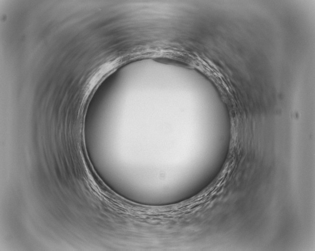 X0000087030003200704161412