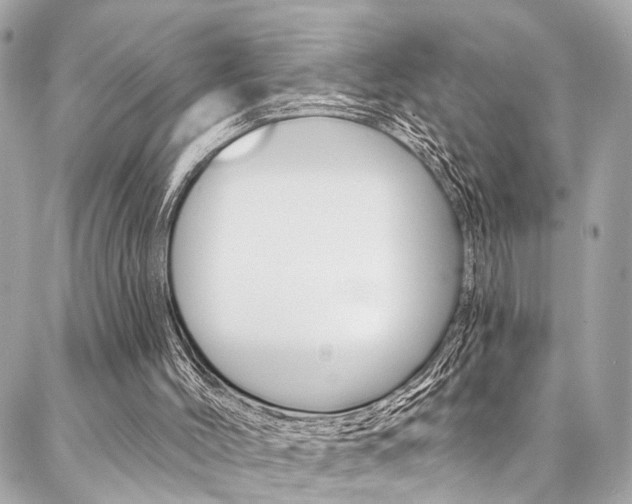 X0000087030004200704161412
