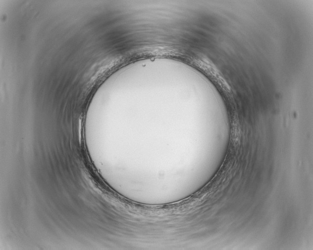 X0000087030014200704161412