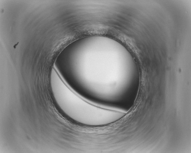 X0000087030017200704161412