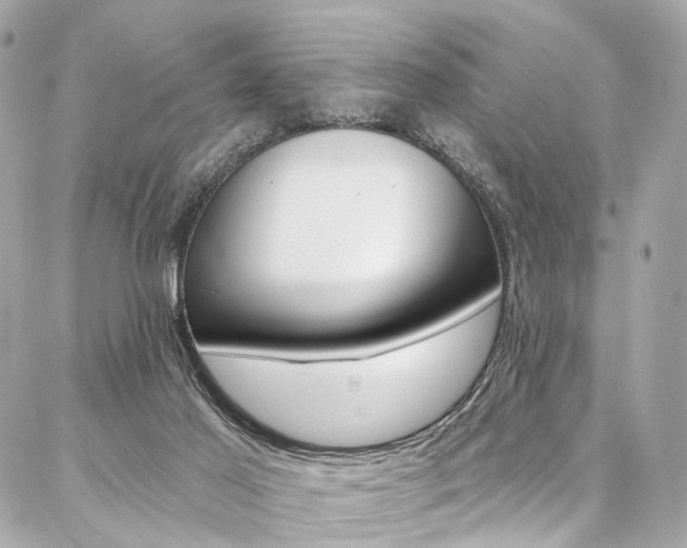 X0000087030021200704161412