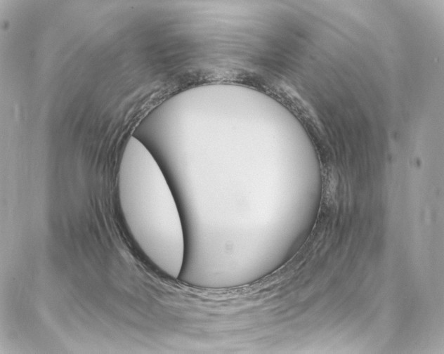 X0000087030026200704161412
