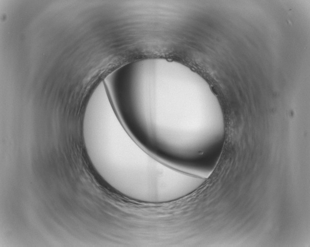 X0000087030027200704161412