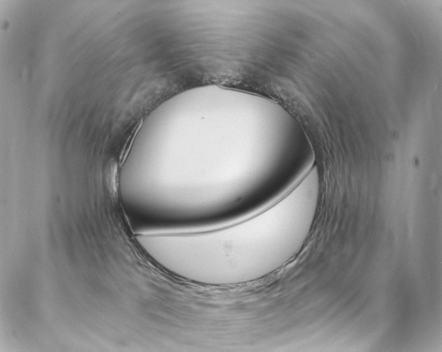 X0000087030041200704161412