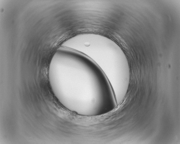 X0000087030045200704161411