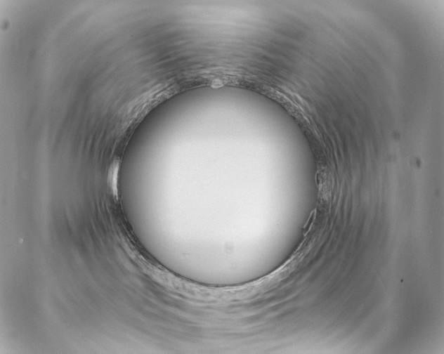 X0000087030047200704161411