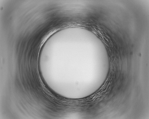 X0000087030052200704161411