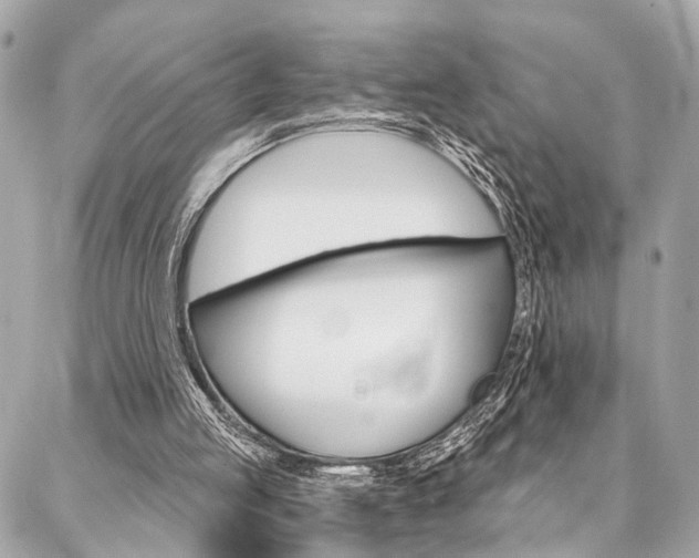 X0000087030053200704161411