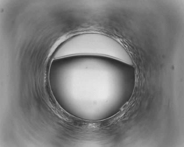 X0000087030056200704161411