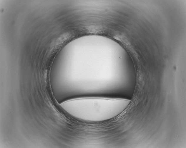 X0000087030066200704161411