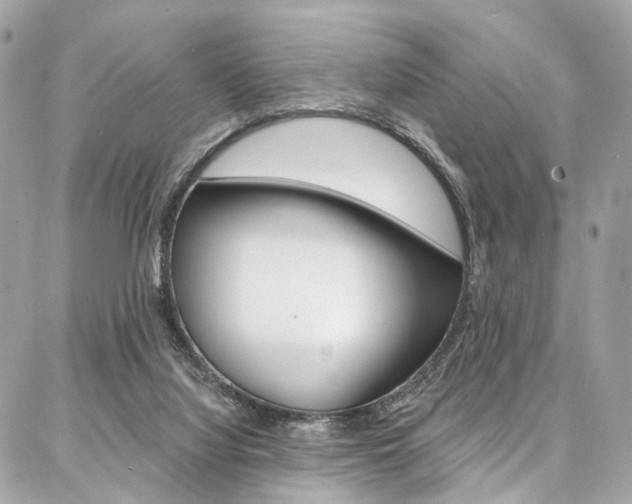 X0000087030068200704161411
