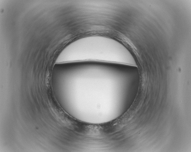 X0000087030073200704161411