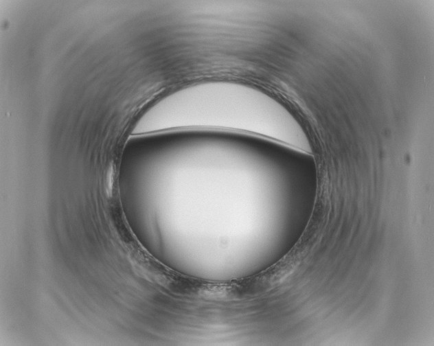 X0000087030076200704161411