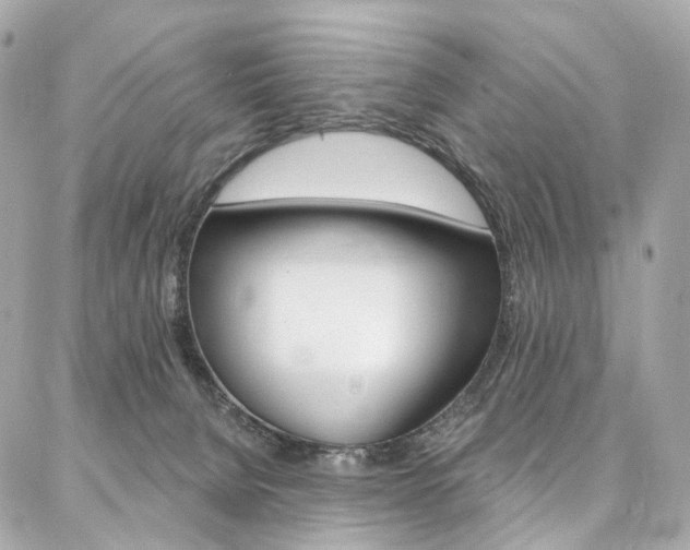 X0000087030080200704161411