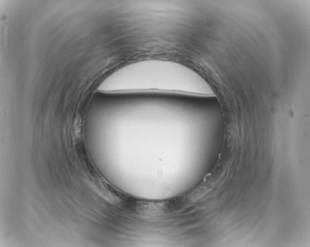 X0000087030081200704161411