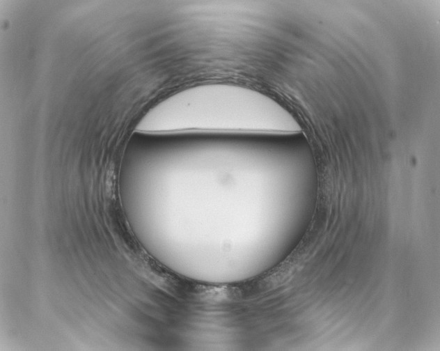 X0000087030083200704161411