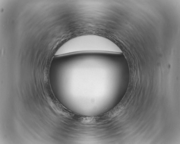 X0000087030088200704161411